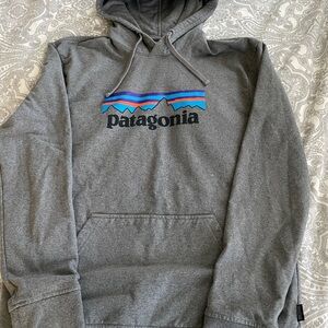 Patagonia Men’s Gray Hooded Sweatshirt